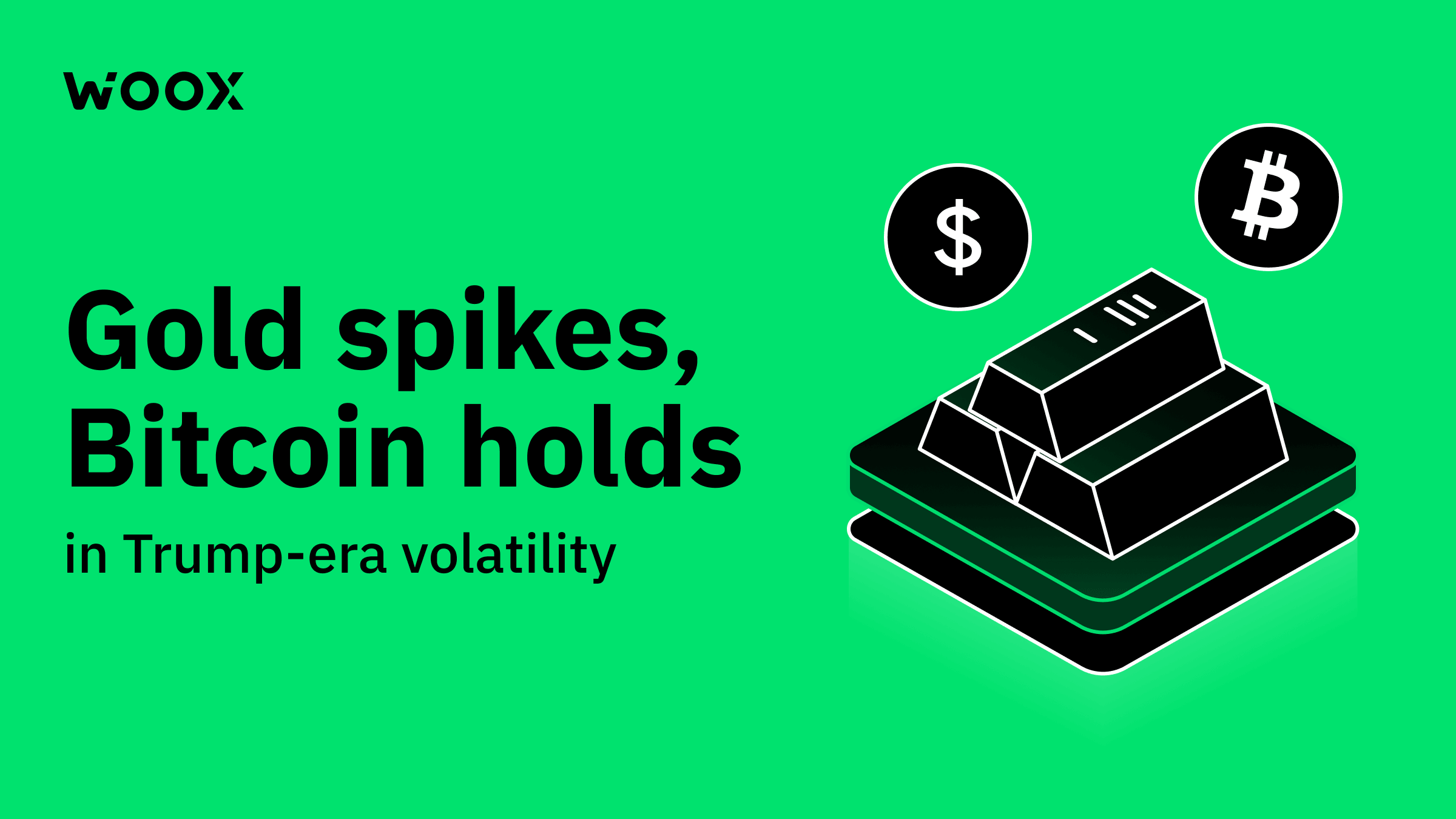 Gold spikes, Bitcoin holds in Trump-era volatility